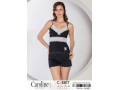 Женский Комплект с Шортами Caroline (M+L+XL+2XL) Женский Комплект с Шортами Caroline (M+L+XL+2XL)