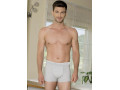 Мужские Трусы Boxer (S,M,L,XL) ANIL Мужские Трусы Boxer (S,M,L,XL) ANIL