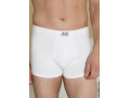 Мужские Трусы Boxer (M,L,XL,2XL) ANIL Мужские Трусы Boxer (M,L,XL,2XL) ANIL